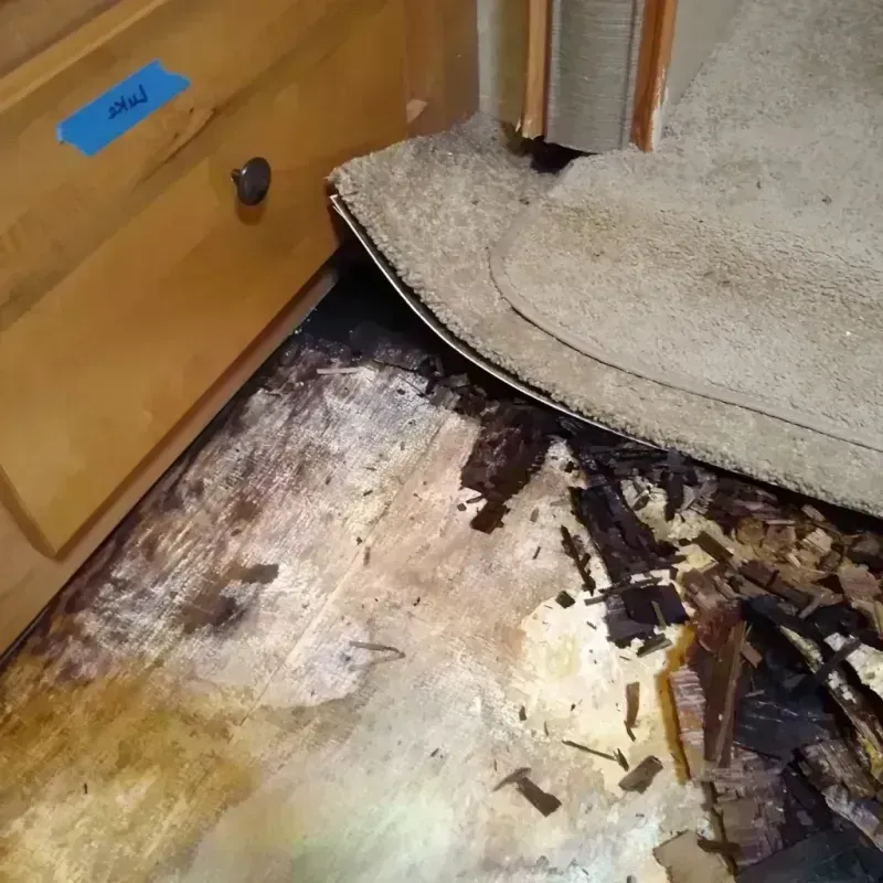 Wood Floor Water Damage in Perry County, MO